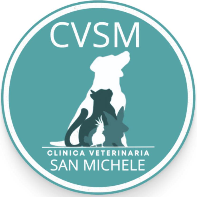 clinica veterinaria san michele, busto arsizio